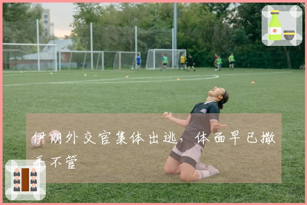 伊朗外交官集体出逃，体面早已撒手不管