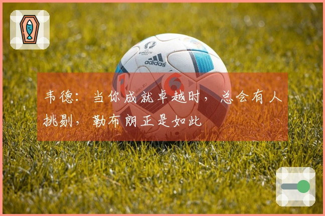 韦德：当你成就卓越时，总会有人挑剔，勒布朗正是如此